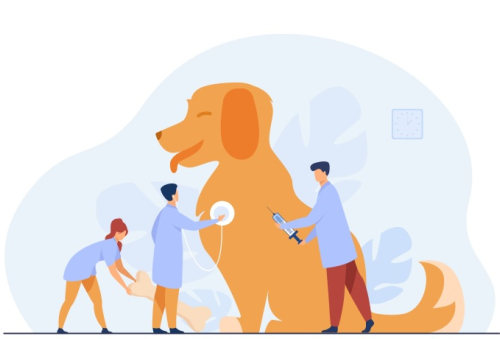 Veterinária e Zootecnia