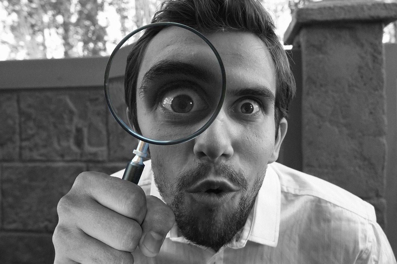 Detetive e Investigador Particular