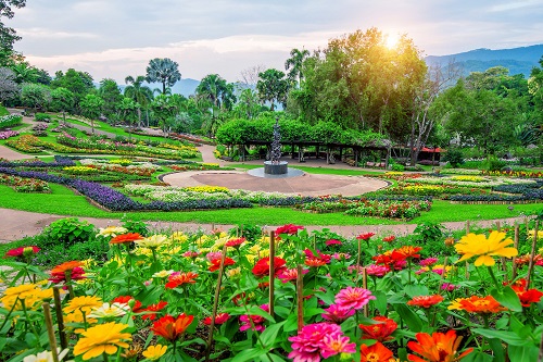 Paisagismo e Plantas Ornamentais