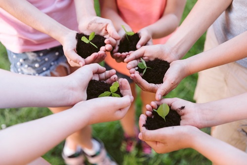 Educação Ambiental