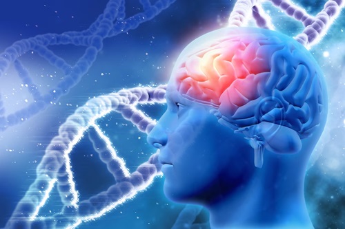 Neurobiologia