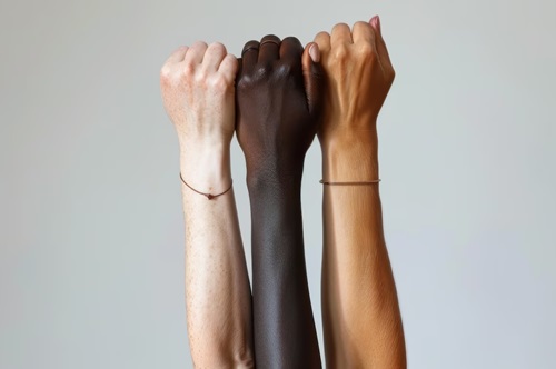 Estatuto da Igualdade Racial - Lei 12.288