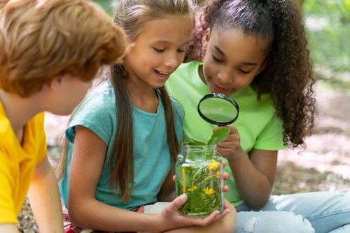 Ensino de Ciências Naturais