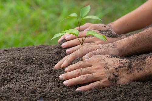 Agroecologia