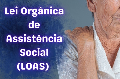 Lei Orgânica de Assistência Social (LOAS)