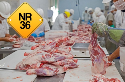 NR 36 - SST em Empresas de Abate e Processamento de Carnes