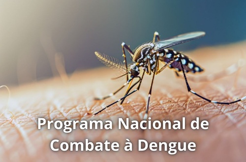 Programa Nacional de Controle da Dengue (PNCD)