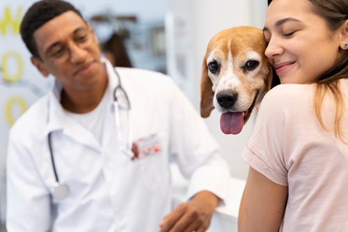 Cão Terapia em Hospitais