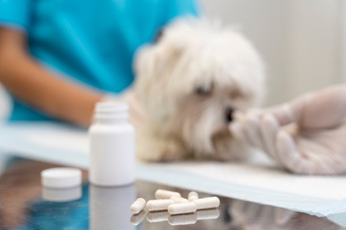 Farmacologia Veterinária