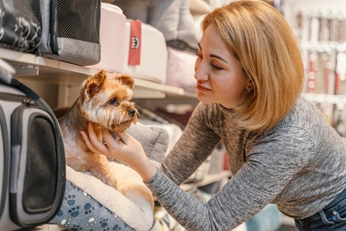 Hotel para Cães e Gatos