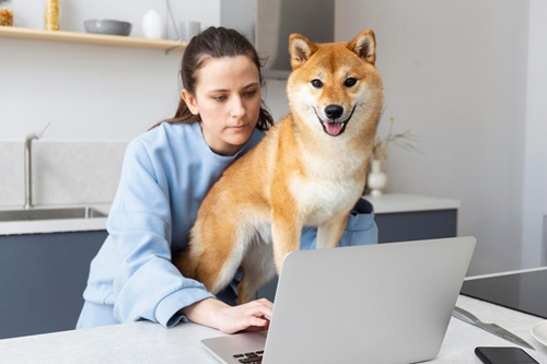 Administração de Pet Shop