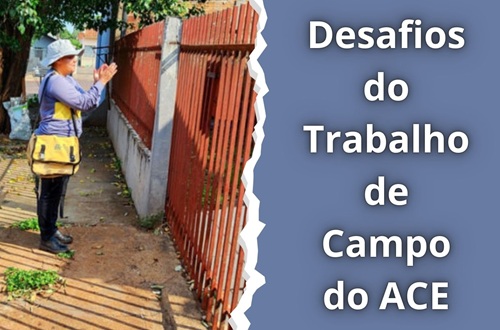 Desafios do Trabalho de Campo do ACE