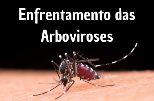 Enfrentamento das Arboviroses