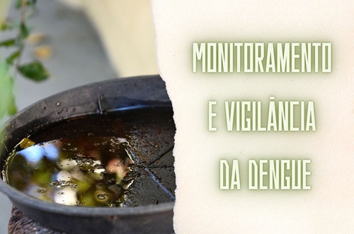 Monitoramento e Vigilância da Dengue