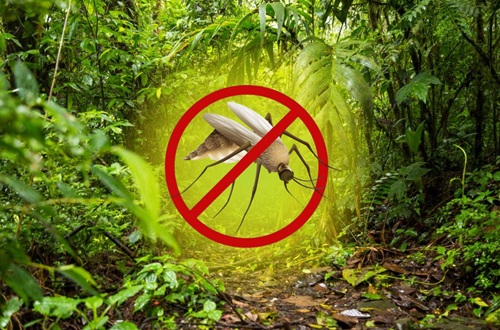 Combate, Prevenção e Controle da Malária