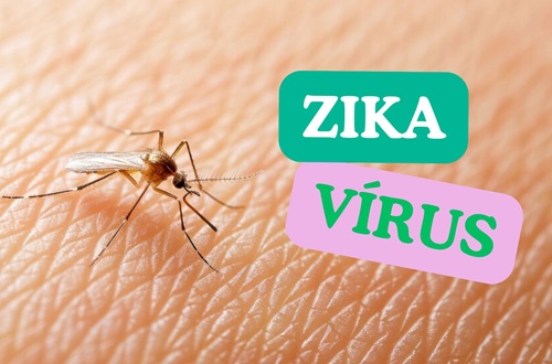 Infecção pelo Zika Vírus