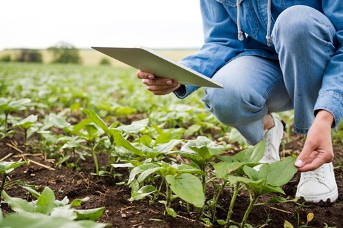 Introdução à Agronomia
