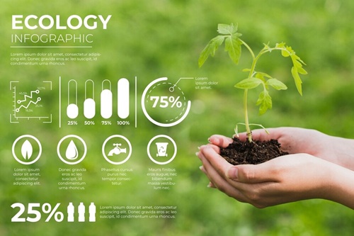 Ecologia Agrícola