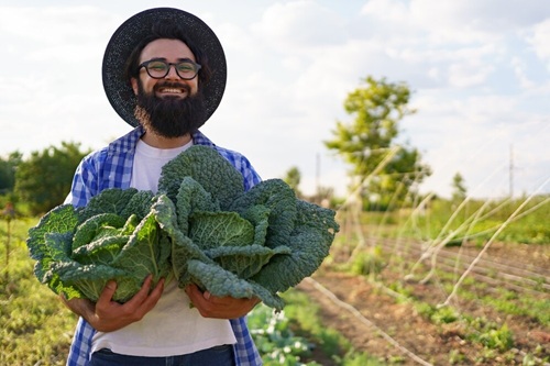 Agricultura de Subsistência