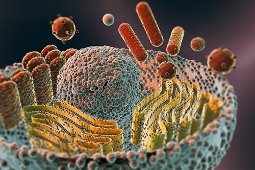 Biologia Celular