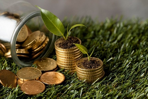 Economia Ecológica