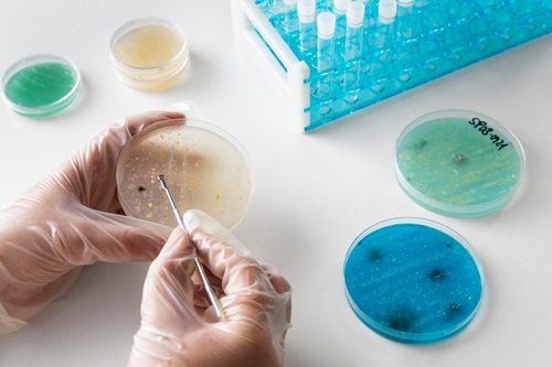 Bacteriologia