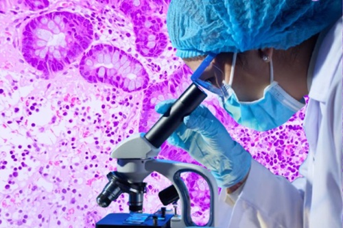 Citologia Clínica Básica