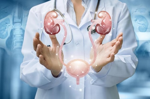 Urologia Básica