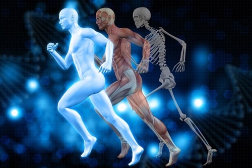 Biomecânica no Desenvolvimento Humano