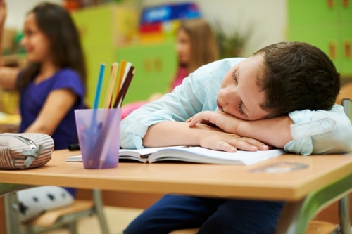Desnutrição e Baixo Rendimento Escolar