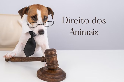 Direito dos Animais