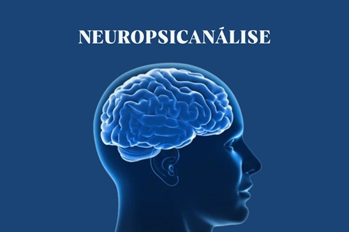 Neuropsicanálise