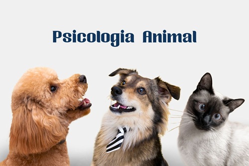 Psicologia Animal