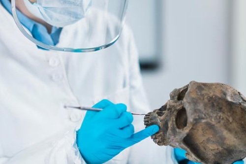 Bioarqueologia