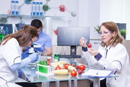 Microbiologia dos Alimentos