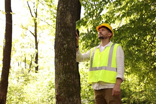 Agente de Defesa Ambiental