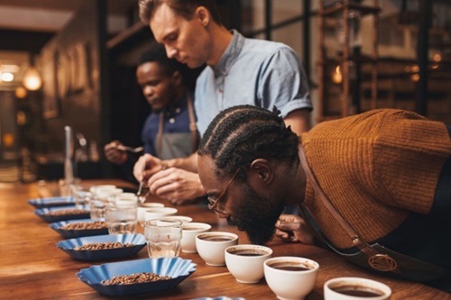 Degustação de Café Profissional
