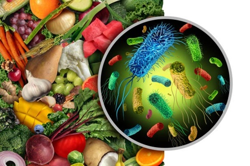 Contaminação de Alimentos