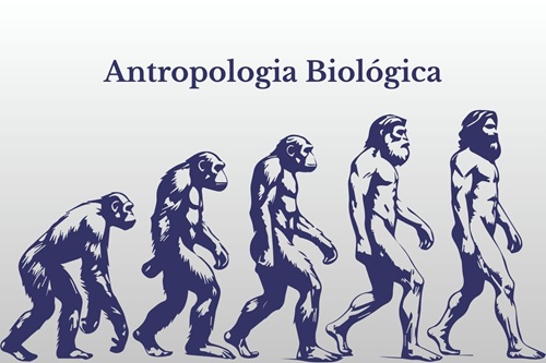 Antropologia Biológica