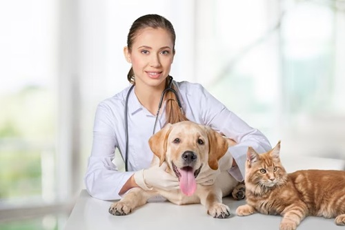Castração de Cães e Gatos
