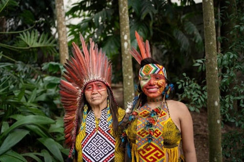 Indigenista Básico