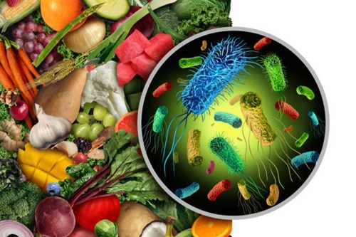 Doenças Transmitidas por Alimentos (DTAs)