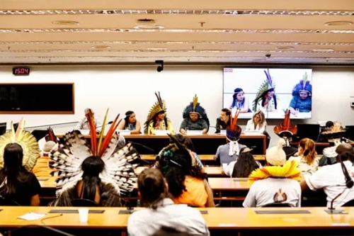 Política Indigenista