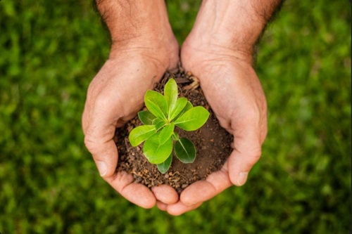 Responsabilidade Ambiental