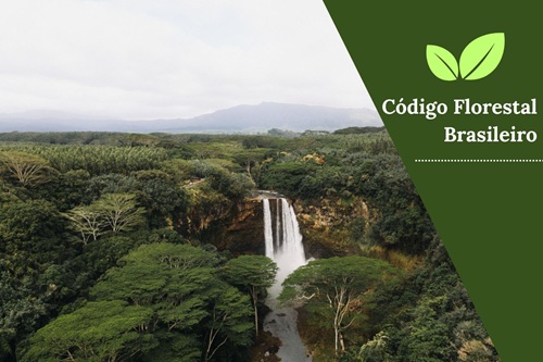 Código Florestal Brasileiro