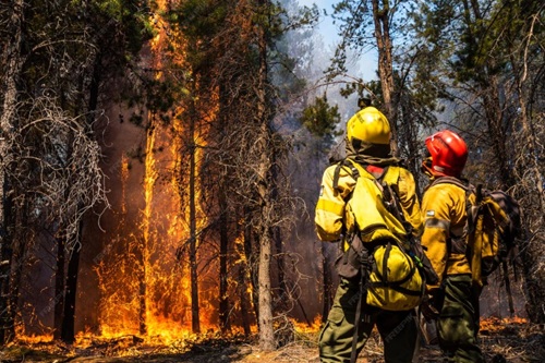 Prevenção e Combate aos Incêndios Florestais