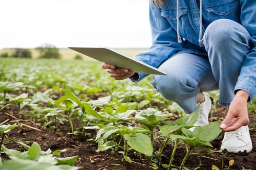 Boas Práticas Agropecuárias