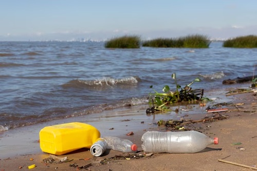 Doenças Transmitidas pela Água Contaminada