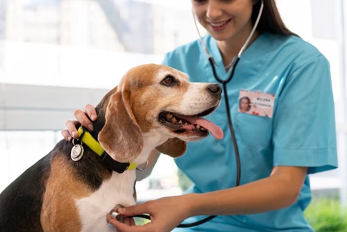 Medicina Veterinária Preventiva