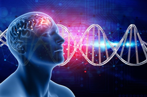 Neurogenética